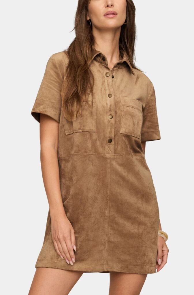 Leone Suede Mini Dress product image 1