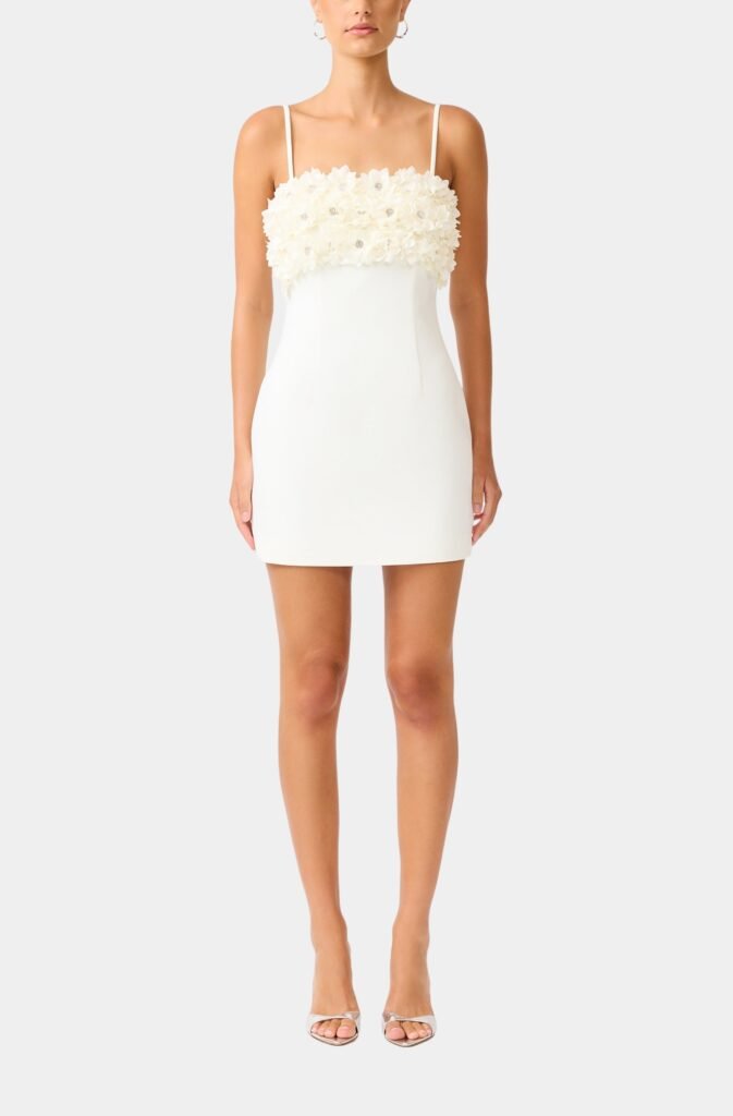 Solenne Mini Dress product image 1